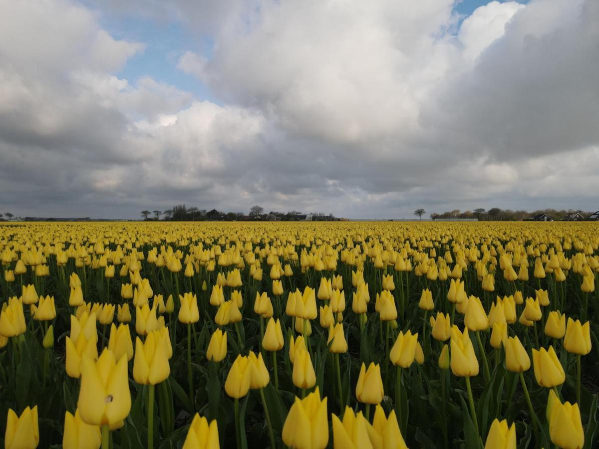 Camping De Tulpenweide Lege Kampeerplaats, Lege Plaats Op Het Gras Zonder Bed Breezand Exterior foto
