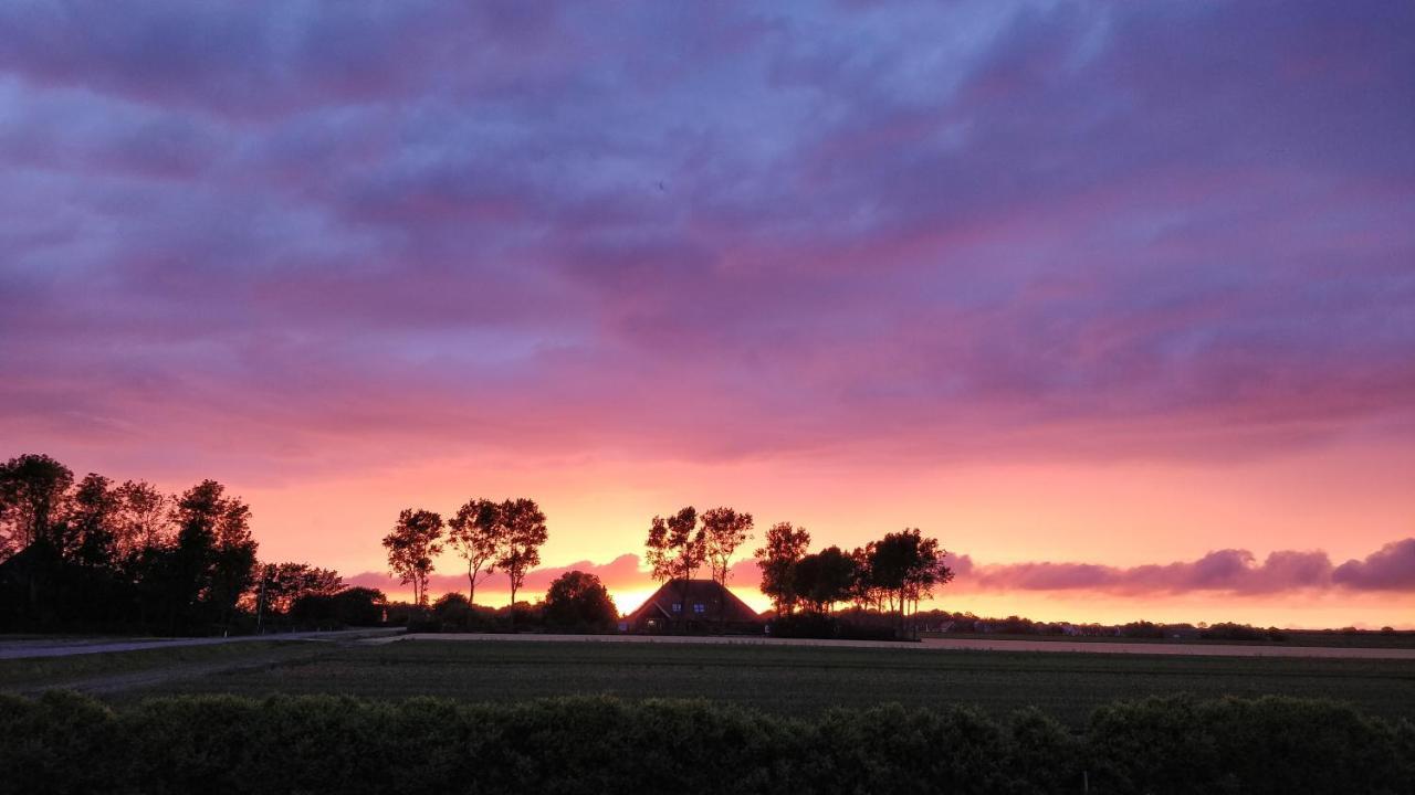 Camping De Tulpenweide Lege Kampeerplaats, Lege Plaats Op Het Gras Zonder Bed Breezand Exterior foto